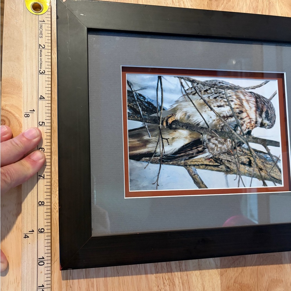 Red Tail Hawk on a Limb Double Mat Framed Art Print Size 12”x10” Nature Wildlife - Picture 4 of 6